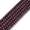 Natural Garnet Bead Strands G-A038-B-01-1