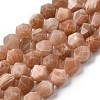 Natural Peach Moonstone Beads Strands G-Z119-A18-02-3