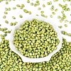 Picasso Glass Seed Beads SEED-N012-10I-2