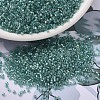 MIYUKI Delica Beads X-SEED-J020-DB1767-1