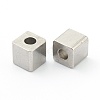 Non-Tarnish 304 Stainless Steel Beads STAS-H160-01C-P-2