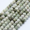 Natural Peace Jade Beads Strands G-I206-20-6mm-1