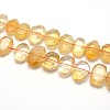 Natural Citrine Beads Strands G-O052-03-1