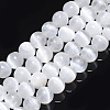 Natural Selenite Beads Strands G-S366-027B-1
