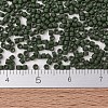 MIYUKI Delica Beads X-SEED-J020-DB2291-4