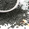 Baking Paint Glass Seed Beads X-SEED-S042-05B-42-1