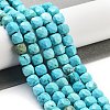 Dyed Natural Turquoise Beads Strands G-H028-A04-01-2