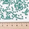 MIYUKI Round Rocailles Beads SEED-JP0009-RR0435-4