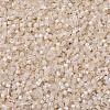 MIYUKI Delica Beads X-SEED-J020-DB1874-3
