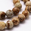 Natural Picture Jasper Beads Strands G-D840-47-10mm-3