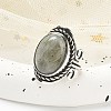 Natural Labradorite Adjustable Rings RJEW-I108-01AS-03-2