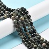 Natural Wood Lace Stone Wooden Jasper Beads Strands G-P497-02B-01-2