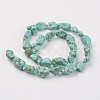 Natural Green Turquoise Beads Strands X-G-N0312-01-2