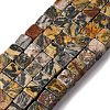 Natural Map Stone Beads Strands X-G-T139-8x8-45B-2