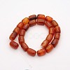 Barrel Natural Carnelian Beads Strands G-D622-01-B-2
