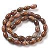 Natural Red Rainbow Jasper Beads Strands G-B106-B23-01-3