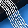 Natural Cultured Freshwater Pearl Beads Strands PEAR-N012-02H-6