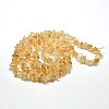 Chip Natural Citrine Beads Strands X-G-N0134-21-3