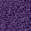 MIYUKI Round Rocailles Beads SEED-JP0008-RR0352-2