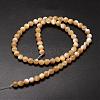 Natural Sea Shell Beads Strands SSHEL-K013-6mm-B-2