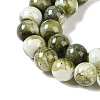 Baking Paint Glass Bead Strands X-GLAA-H031-01B-14-4