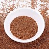 MIYUKI Delica Beads X-SEED-J020-DB0421-2