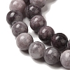 Natural Gemstone Beads Strands G-H067-A01-6MM-4