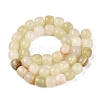 Dyed Natural White Jade Beads Strands G-T138-210B-2
