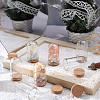 16Pcs Glass Dome Cloche Cover AJEW-SC0001-55B-4