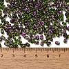 Spray Painted Glass Seed Beads SEED-F005-07A-04-4