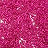 Baking Paint Glass Seed Beads X-SEED-S042-05B-69-3