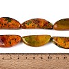 Natural Multi-Color Agate Beads Strands G-Q606-72-5