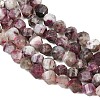 Natural Plum Blossom Tourmaline Beads Strands G-P611-C36-01-4