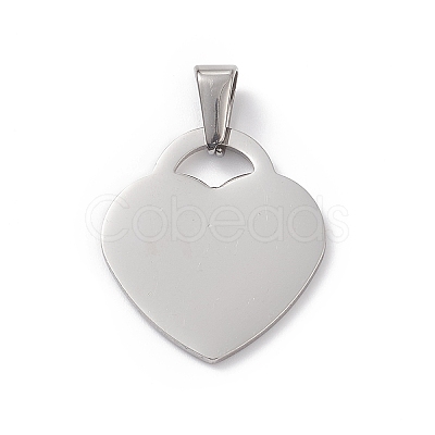 Non-Tarnish 304 Stainless Steel Pendants STAS-G284-19P-1