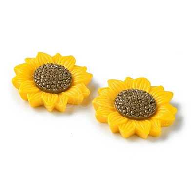Opaque Resin Cabochons RESI-H146-02A-1