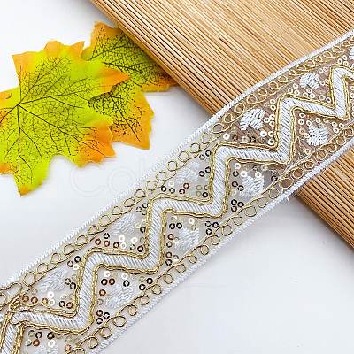 10 Yards Polyester Embroidery Lace Ribbon with Paillette PW-WG94215-03-1
