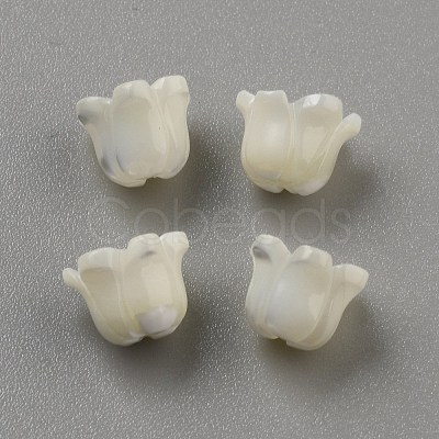 Natural Sea Shell Carved Beads LS-SHEL-WH0001-021A-1