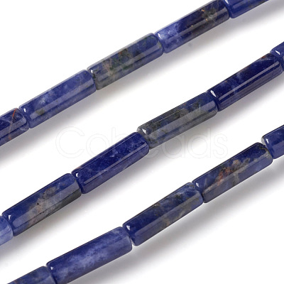 Natural Sodalite Beads Strands G-F247-30-1