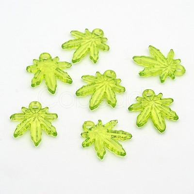 Transparent Acrylic Pendants X-PL711Y-3-1