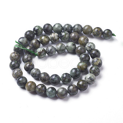 Natural African Turquoise(Jasper) Beads Strands G-D809-02-8mm-1