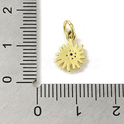 Brass Micro Pave Cubic Zirconia Charms KK-M283-23E-01-1