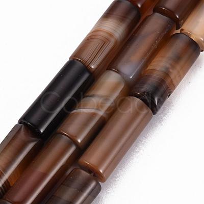 Natural Madagascar Agate Beads Strands G-Q463-02-1