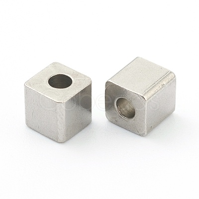 Non-Tarnish 304 Stainless Steel Beads STAS-H160-01C-P-1