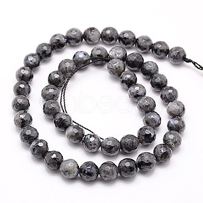 Natural Larvikite Beads Strands G-G736-01-12mm-1