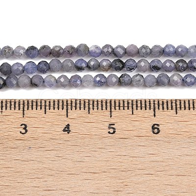 Natural Tanzanite Beads Strands G-C255-A01-3mm-1