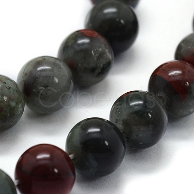 Natural African Bloodstone Beads Strands G-G763-08-6mm-1