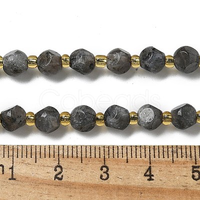 Natural Larvikite Beads Strands G-K387-A02-01-1