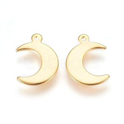 304 Stainless Steel Charms X-STAS-H557-31G-1