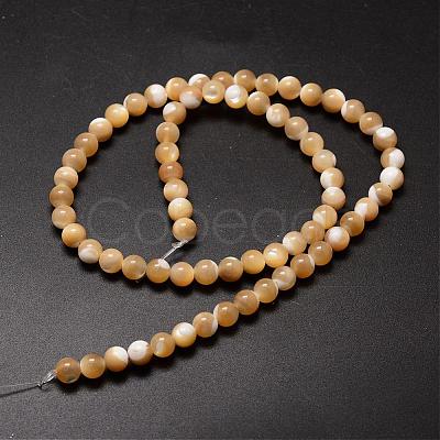 Natural Sea Shell Beads Strands SSHEL-K013-6mm-B-1