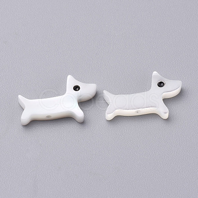 Puppy Natural Freshwater Shell Beads SHEL-T007-34-1